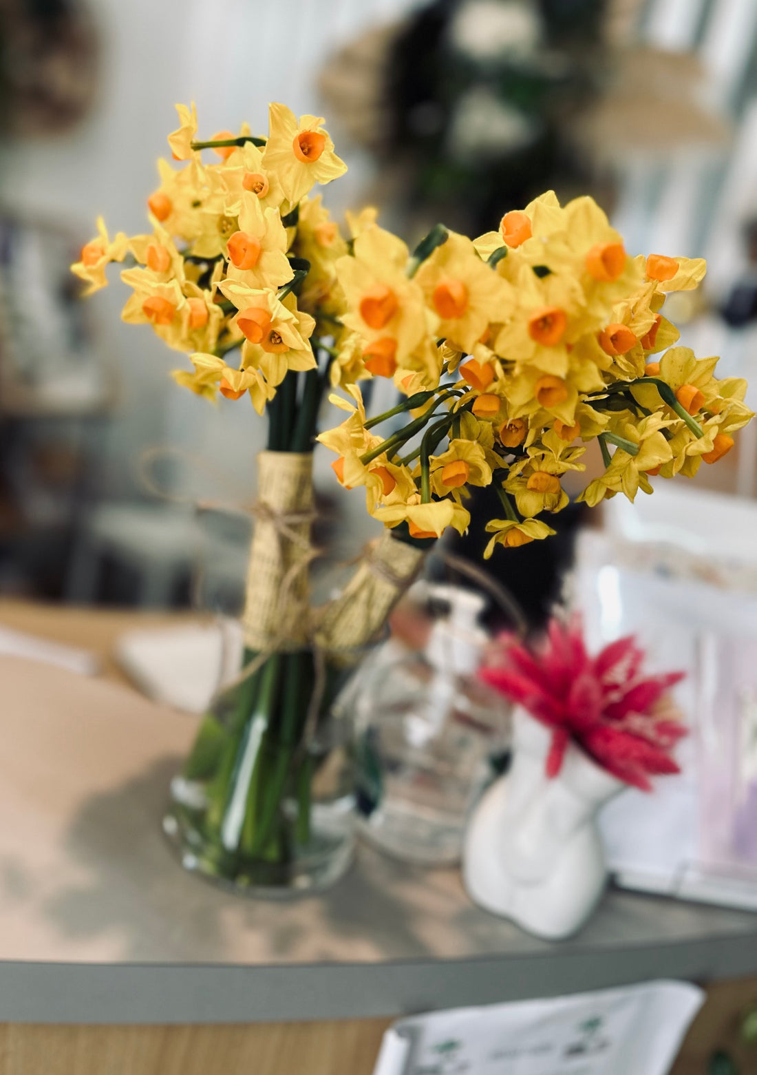 Daffodil day preorder  - Profit to cancer council- collection only on 20th August 2026